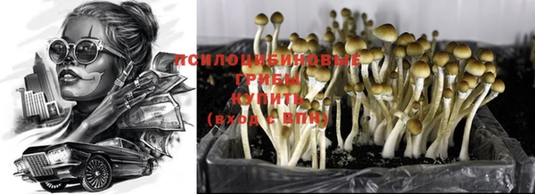 герыч Абаза