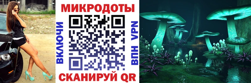 Псилоцибиновые грибы прущие грибы  ОМГ ОМГ как зайти  сайты даркнета Telegram  Зеленодольск 
