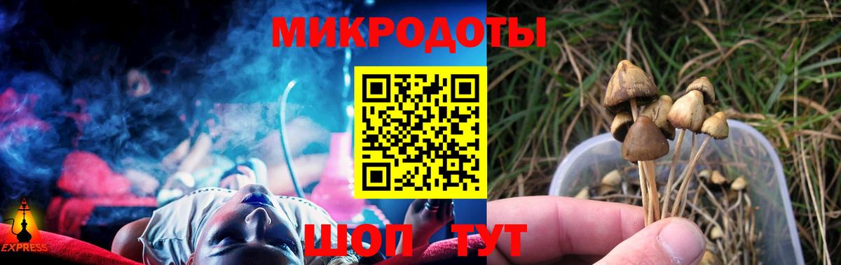 Псилоцибиновые грибы Psilocybe Зеленодольск